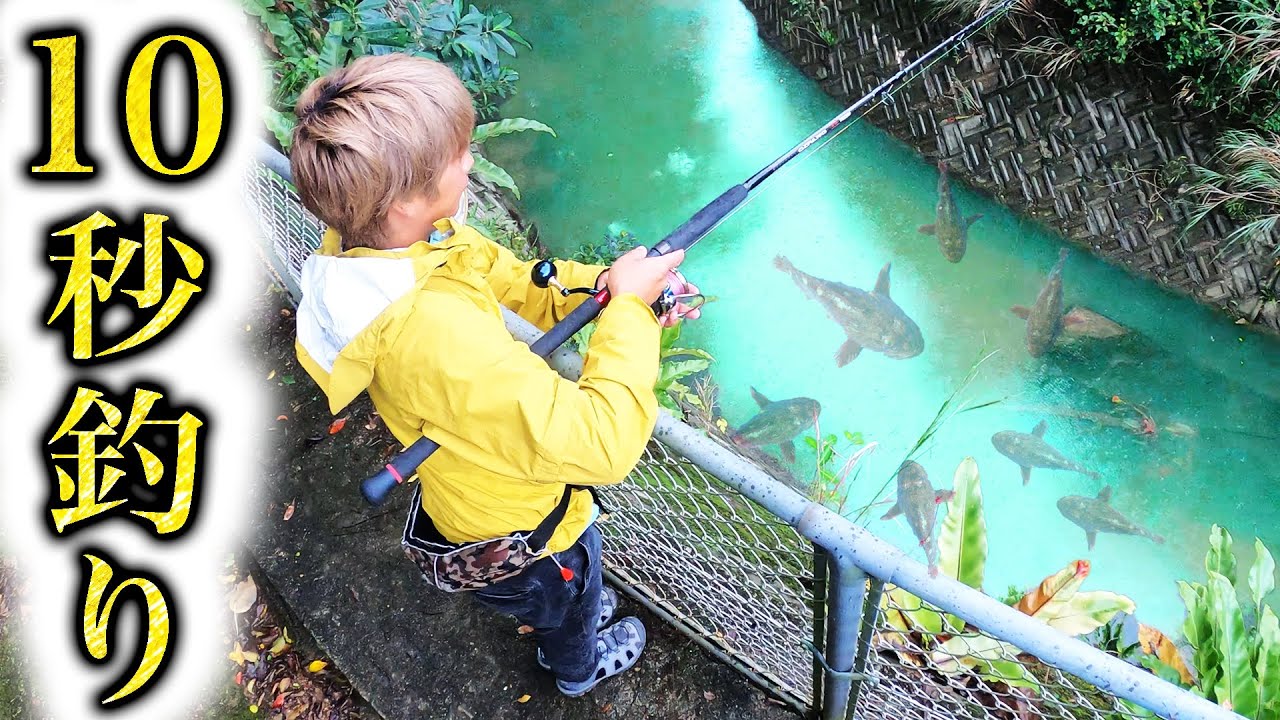 【衝撃】外来魚を10秒で釣る方法を公開します