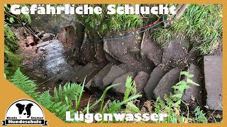 Devil's Pulpit - Teufels Kanzel: Gefährliches Terrain im Finnich Glen | Highlands von Schottland