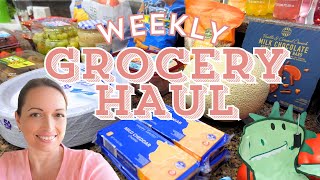 ✨NEW✨ WEEKLY GROCERY HAUL 2024 | AISLE OF SHAME ALDI HAUL | PUBLIX GROCERY HAUL | FAMILY OF FIVE