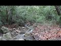 Stream from a Waterfall#flowingwatersounds