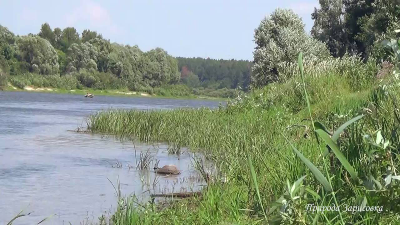 Скачать звуки природы для медитации