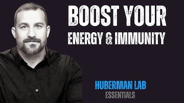 BOOST YOUR ENERGY & IMMUNE SYSTEM WITH CORTISOL & ADRENALINE | Huberman Lab Essentials