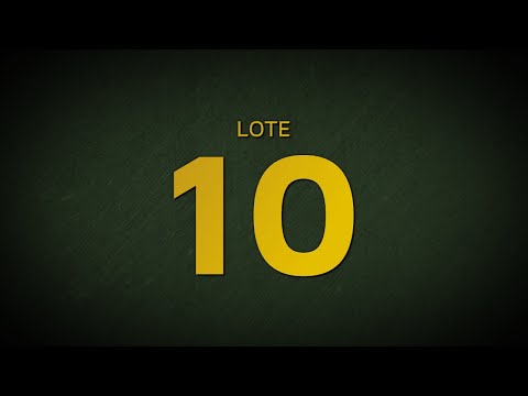 LOTE 10 - DANC 12