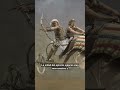 La BATALLA de los GATOS