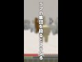 マインクラフトでラマの集団を殴るとこうなる #shorts