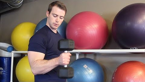Muscle Building Biceps Exercise - Alternating Dumbbell Hammer Curls