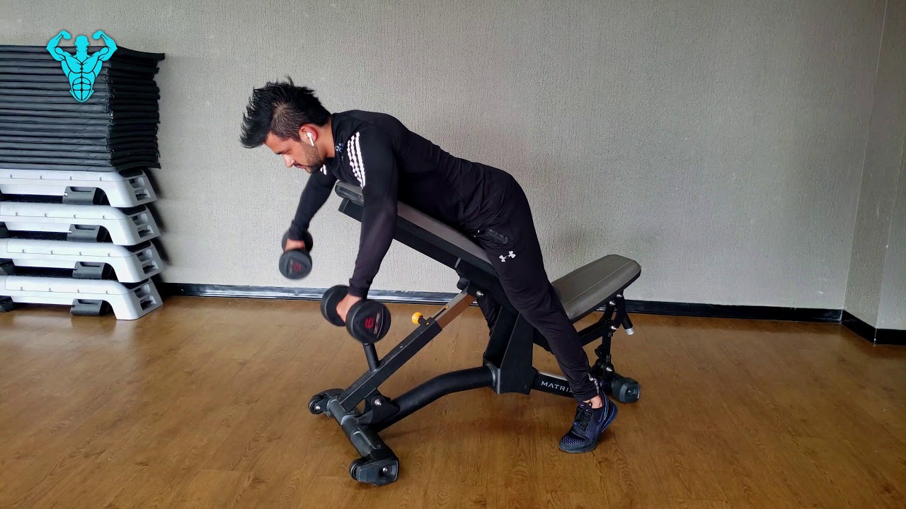 EXERCISES WITH DUMBBELL - Incline Bench Dumbbell Reverse Fly Neutral ...