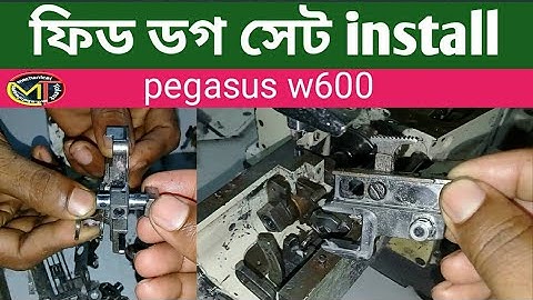how to install Feeddog set pegasus w600