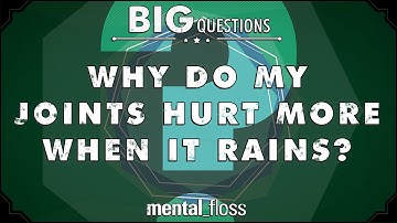 Why do my joints hurt more when it rains?  - Big Questions - (Ep. 203) | Mental Floss