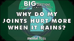 Why do my joints hurt more when it rains?  - Big Questions - (Ep. 203)