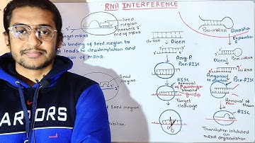 RNA Interference | gene silencing | msc gate csirnet lifescience lecture | Molecular Biology