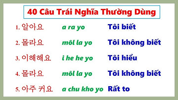 40 Câu tiếng Hàn TRÁI NGHĨA, HỌC 1 NHỚ 2!