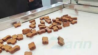 How to Make Semi Moist Pet Treats | Complete Production Line for Premium Dog Treats