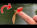 TADPOLE Lure Catches BIGGEST of the YEAR!! (My $330 MISTAKE!)