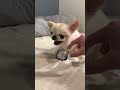 Y2mate Com HowZachKingGetsAwayWithDoingGraffiti 1080p Y2mate Com HowZachKingGetsAwayWithDoingGraffiti 1080p