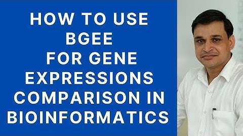 Bgee | Gene expressions comparison and data analysis tool | Bioinformatics