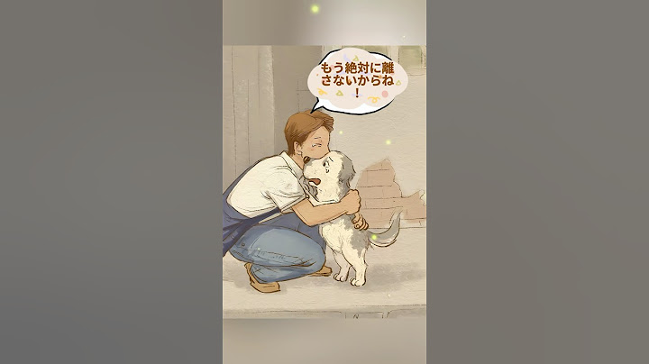 犬の愛は、いつもまっすぐであたたかい。🐶💖#犬 #犬の気持ちは顔に出る #癒し系 #犬は心の特効薬 #物語を描こう