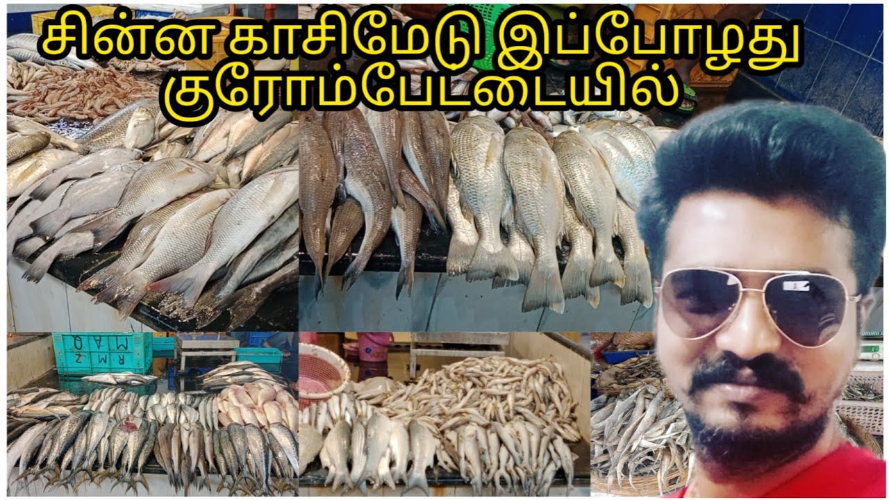 சின்ன காசிமேடு fish market at chrompetwholesale cheap fish market in