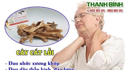 Cây cát lồi | Công dụng của cây cát lồi