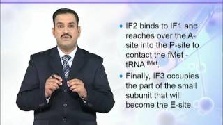 BIO302_Topic151
