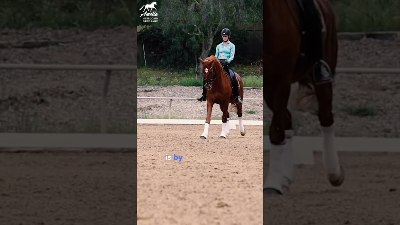 How to get Clean Flying Changes