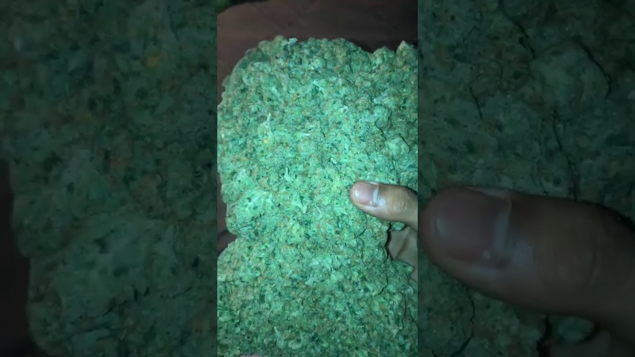 Motita 🔥🔥 OG KUSH