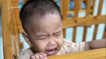 Buổi trưa tại Mái Ấm Phúc Lâm-Cô Chú MTQ đến ghé thăm các con mồ côi #tiktok #chuamocoi #dungbanhmi 