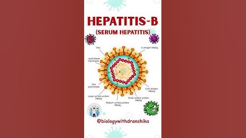 🦠 Hepatitis-B: A Silent Yet Dangerous Threat! #HepatitisB #liverhealth  #hbv #jaundice #hepatitis