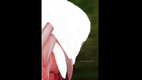 Flamingo Timelapse/ Speedpainting Fast Version