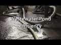 Korbel Champagne Cellars  Process Water Pond Efficiency Measures