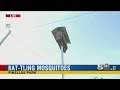 Bat-ling mosquito problem in Pinellas County Bat-ling mosquito problem in Pinellas County
