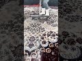 Extreme Dirt Scraping Cleanup