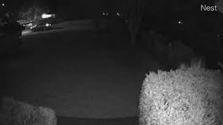 Google Nest Cam (battery) night time footage