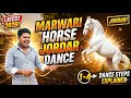 HORSE 🐴 KA WADING MEIN JORDAR DANCE 🕺