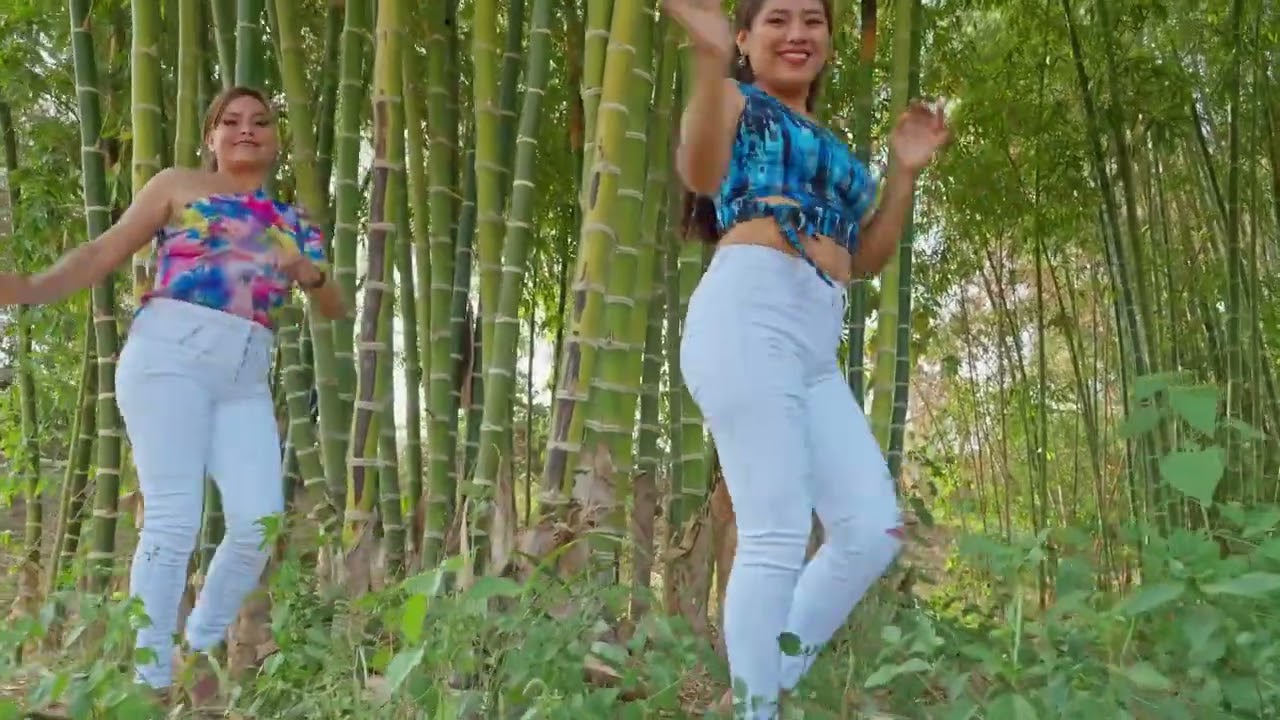 Mix Paloma Blanca - SENTIMIENTO Y ENCANTO