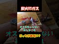炭火 vs カセットコンロ!どっちが美味いと思う!?