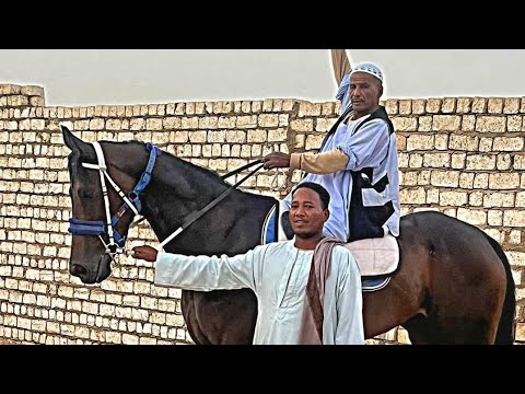 ماشاءالله ع أبطال الشرق مونيكا و امجاد ودور حيران والعازف ليلة الإمام الحسين ٢٠٢٥