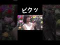 ミミズクにビビる掛橋沙耶香 #掛橋沙耶香 #4期生 #乃木坂46