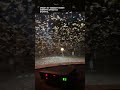 Deputy drives through swarm of '6 billion' termites