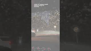 Deputy drives through swarm of '6 billion' termites