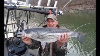 2017-03-25 Lake Cumberland KY stripers Lance Sasser Guide; Chuck & John