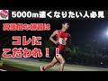 5000mが速くなるために固執すべきたった一つのこと