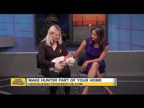 Rescues in Action: Hunter