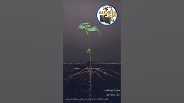 اجمل التلاوات الغبانيه ....