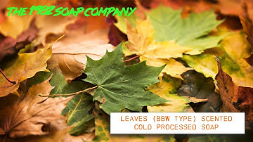 AUTUMN THEMED COLD PROCESSED SOAP MAKING | The 1982 Soap Company