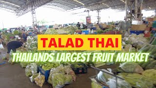 THAILANDS LARGEST MARKET  TALAD THAI  WALK THROUGH