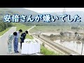 《話題》安倍さんが嫌いでした。