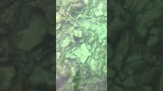 Beautiful Sea In Rep Dominican