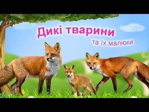 Дикі тварини. Тварини та їх дитинчата.  Тата, мами, малюки.