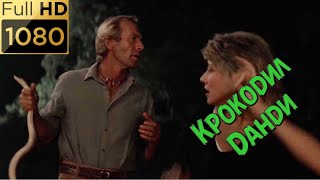 Ночевка в диком лесу. Крокодил Данди спасает Сью от черной змеи. Фильм "Крокодил Данди" (1986) HD